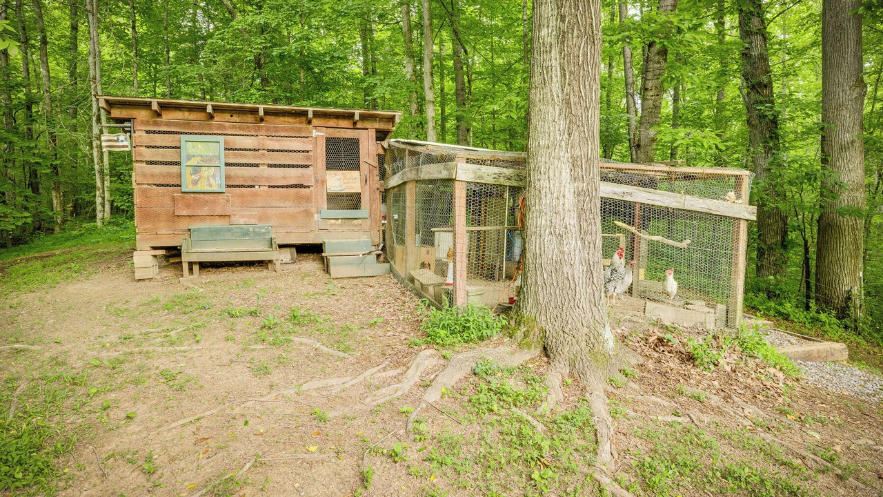 Photo of Outdoor in Greeneville