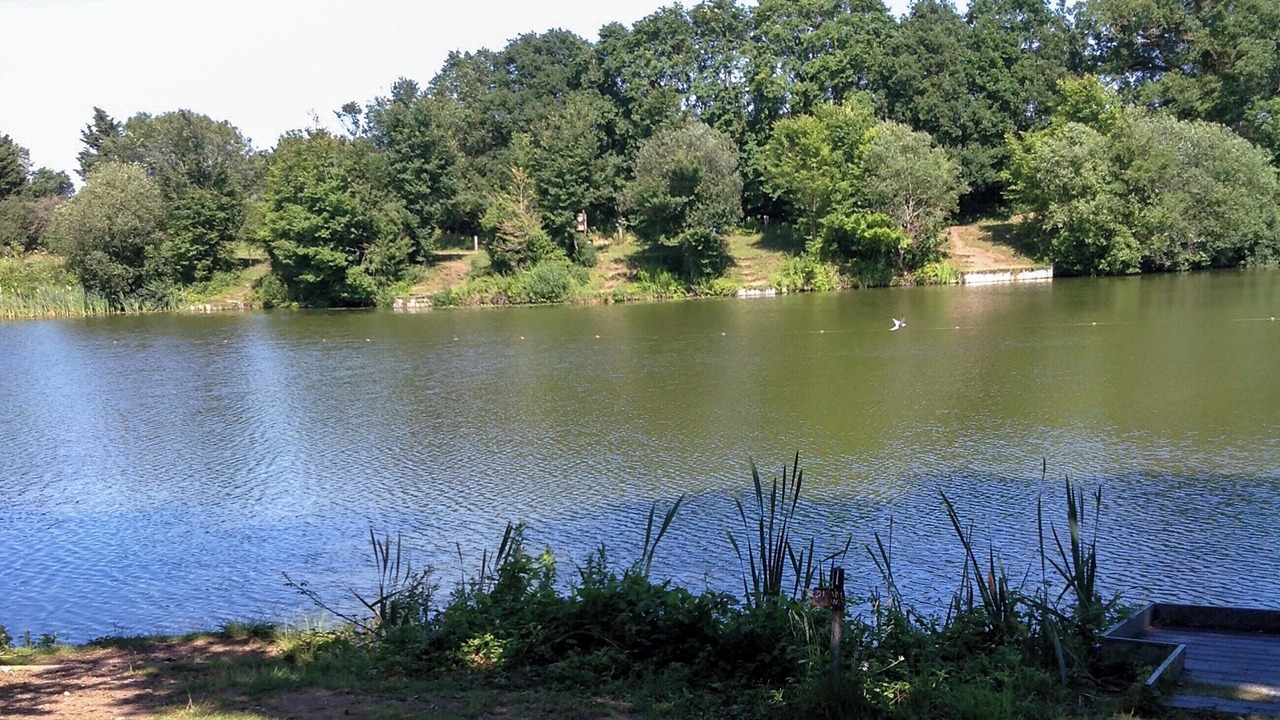 Photo of Others in Weybread