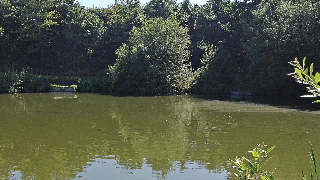 Photo of Others in Weybread