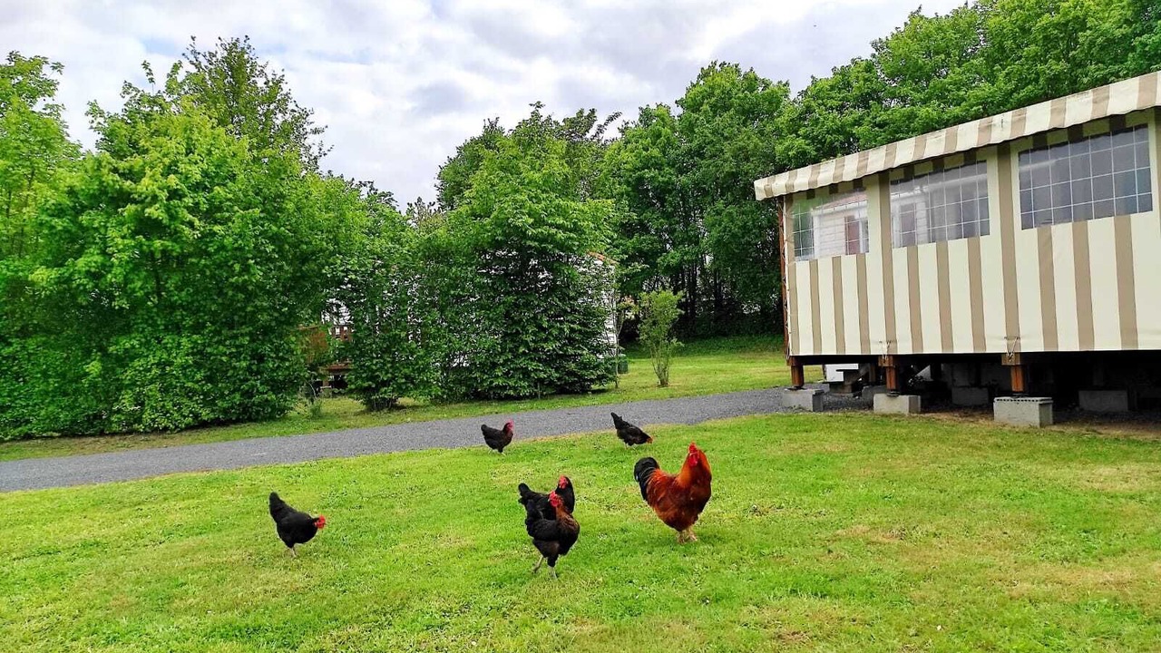 Photo of Outdoor in Maulevrier