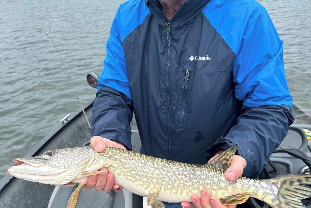 Photo of Others in Vermilion Bay