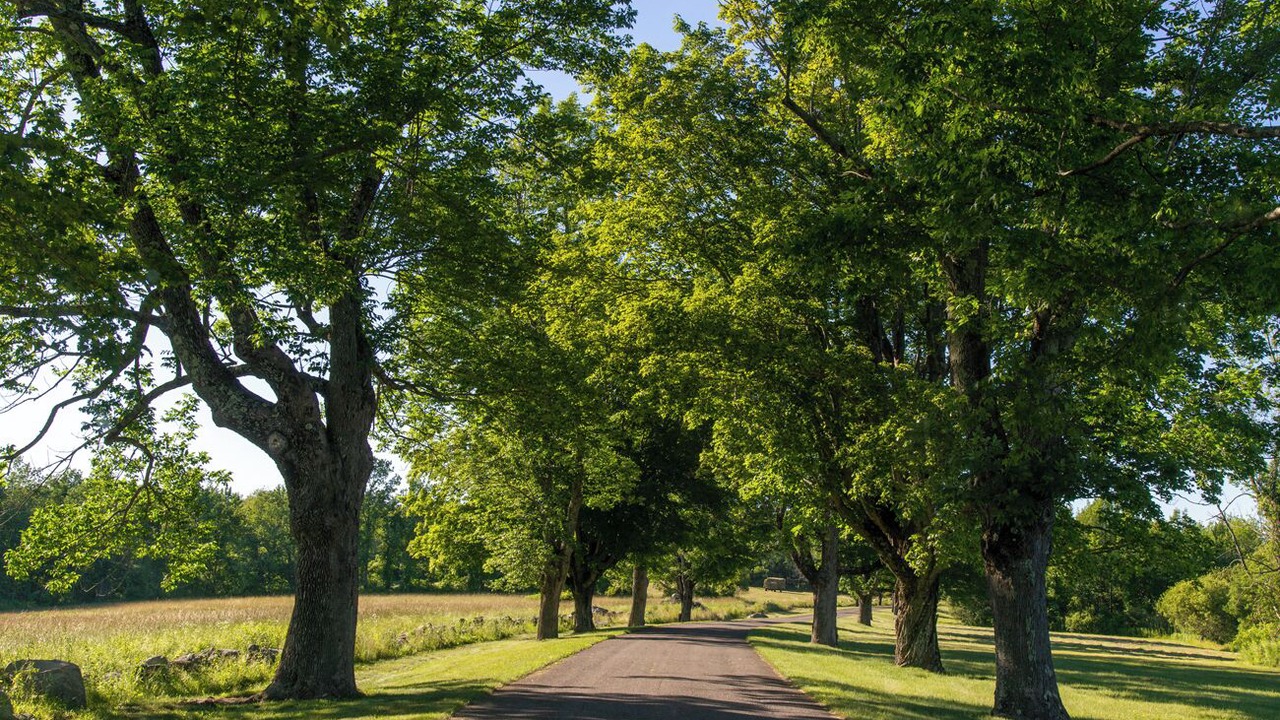 Photo of Others in West Cornwall