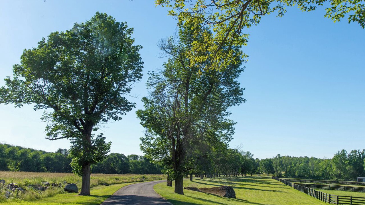 Photo of Others in West Cornwall