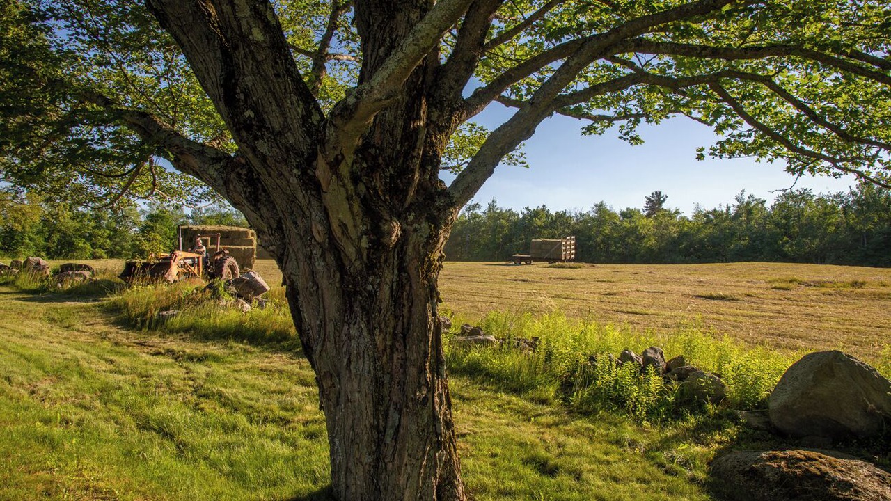 Photo of Others in West Cornwall