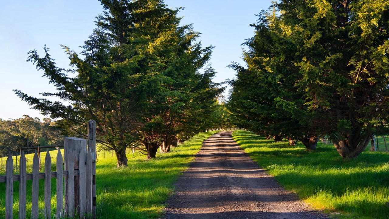 Photo of Others in Werona