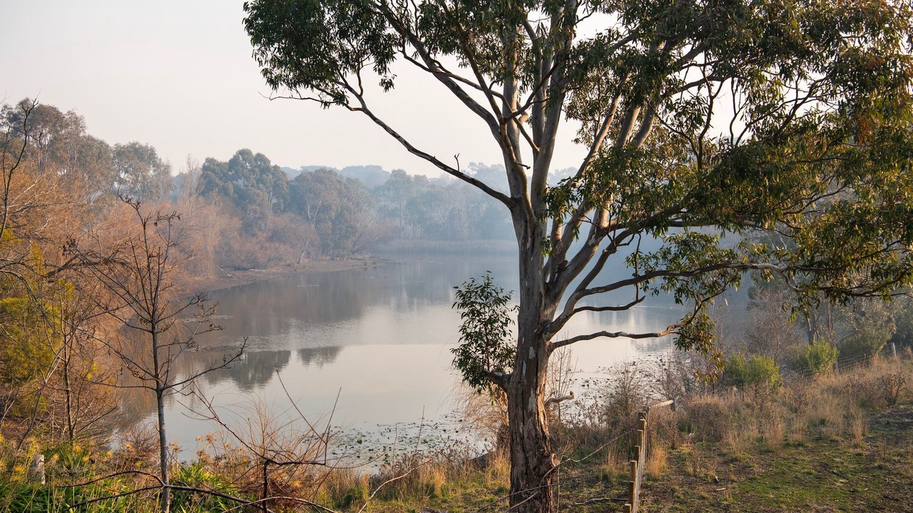 Photo of Others in Werona