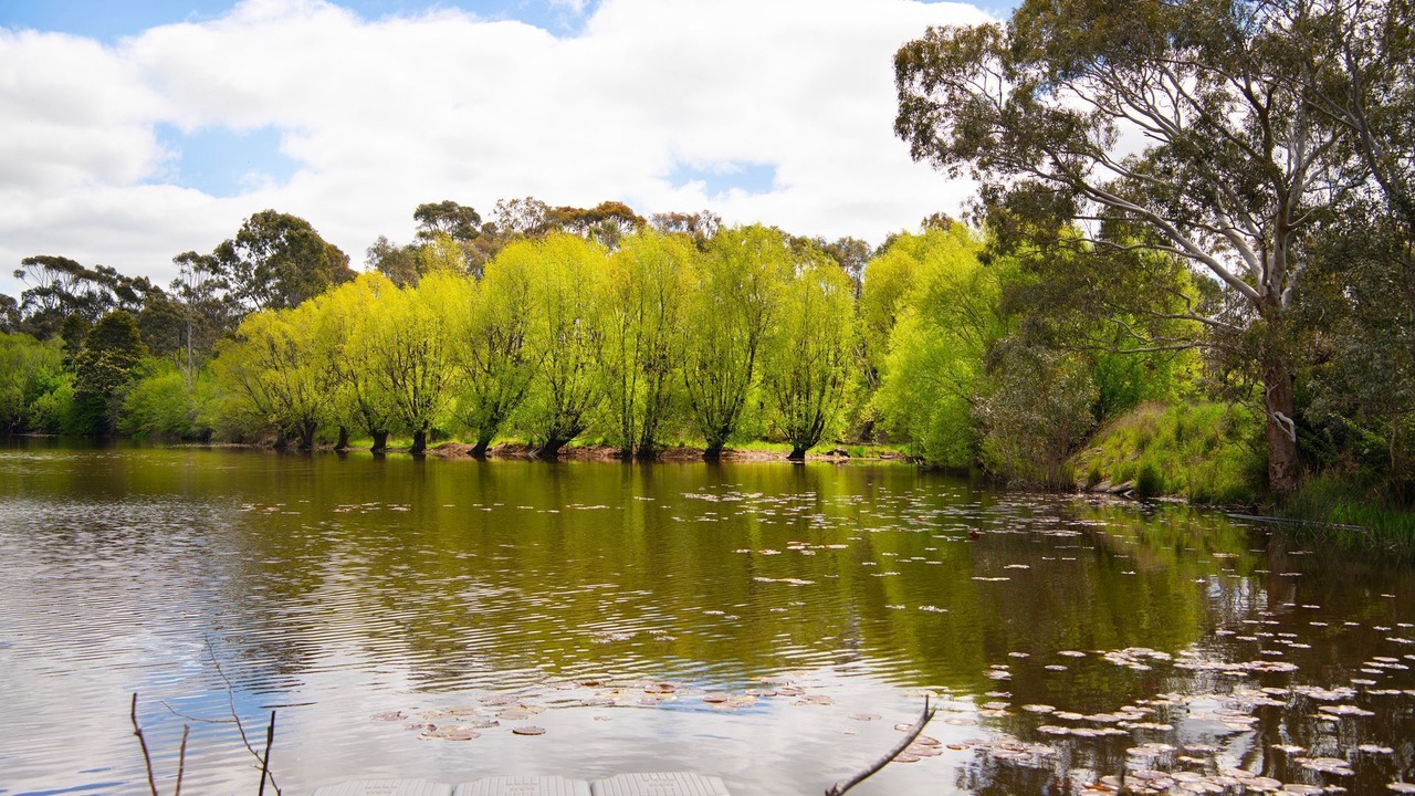 Photo of Others in Werona