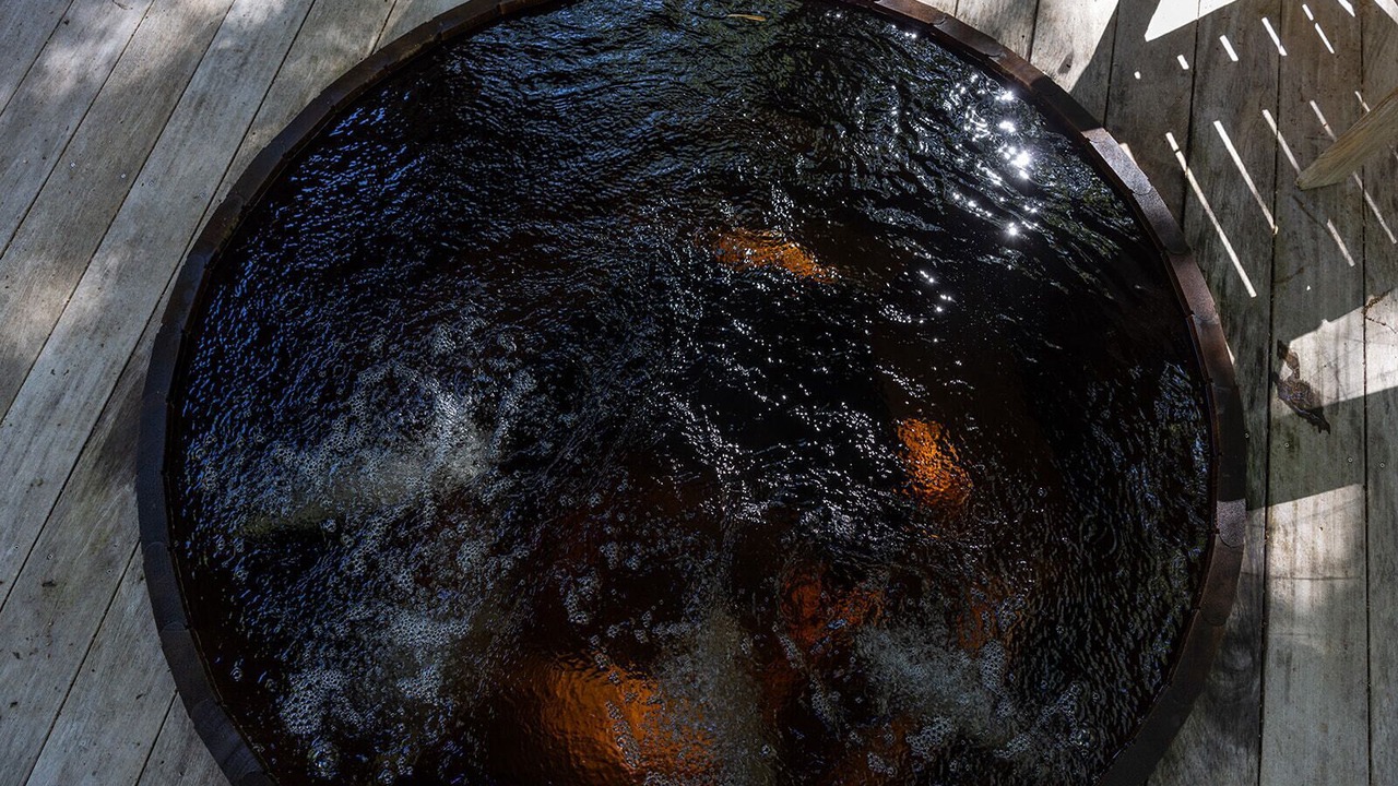 Photo of Outdoor in Noyack