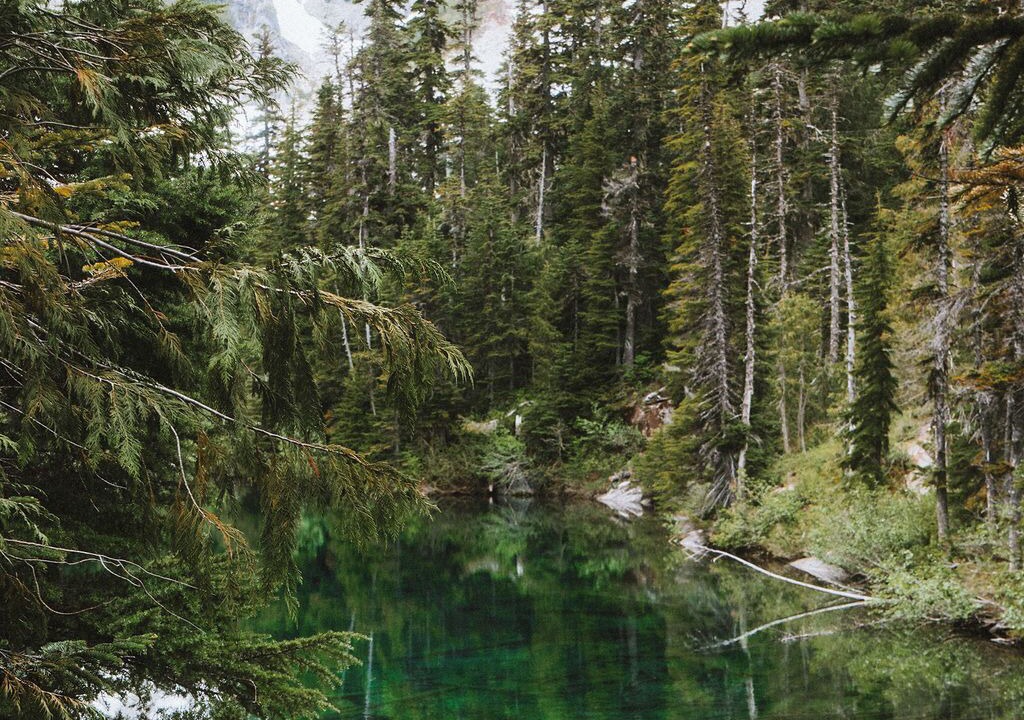 Photo of Others in Packwood