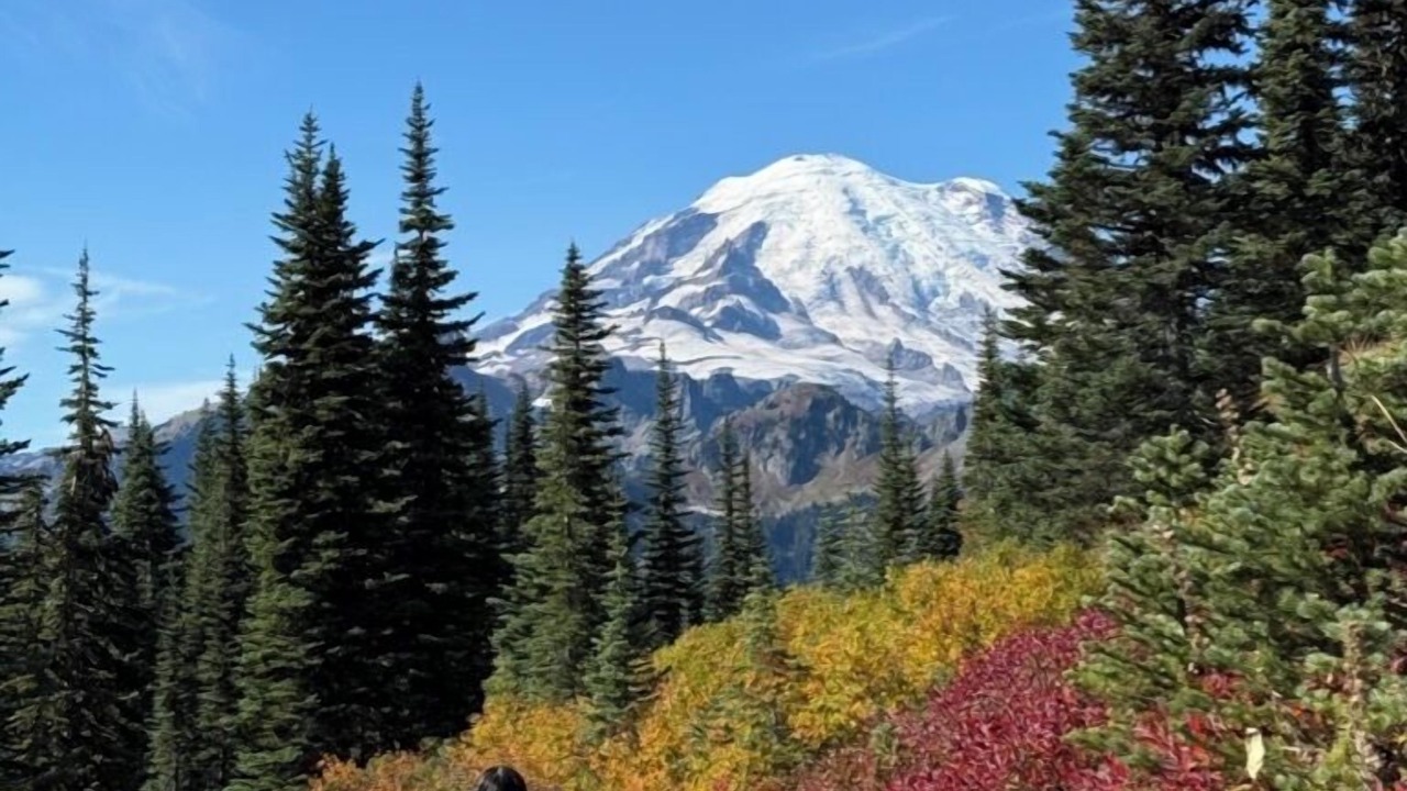 Photo of Others in Packwood