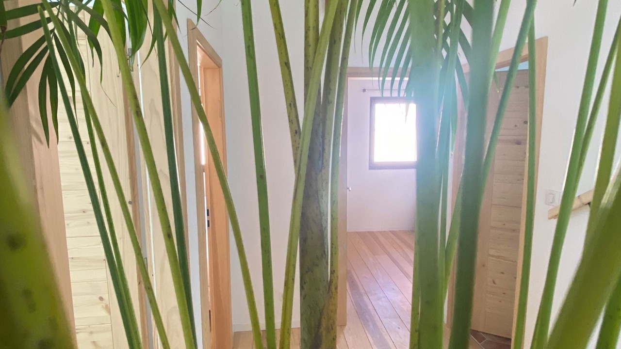 Photo of Others in Guebwiller