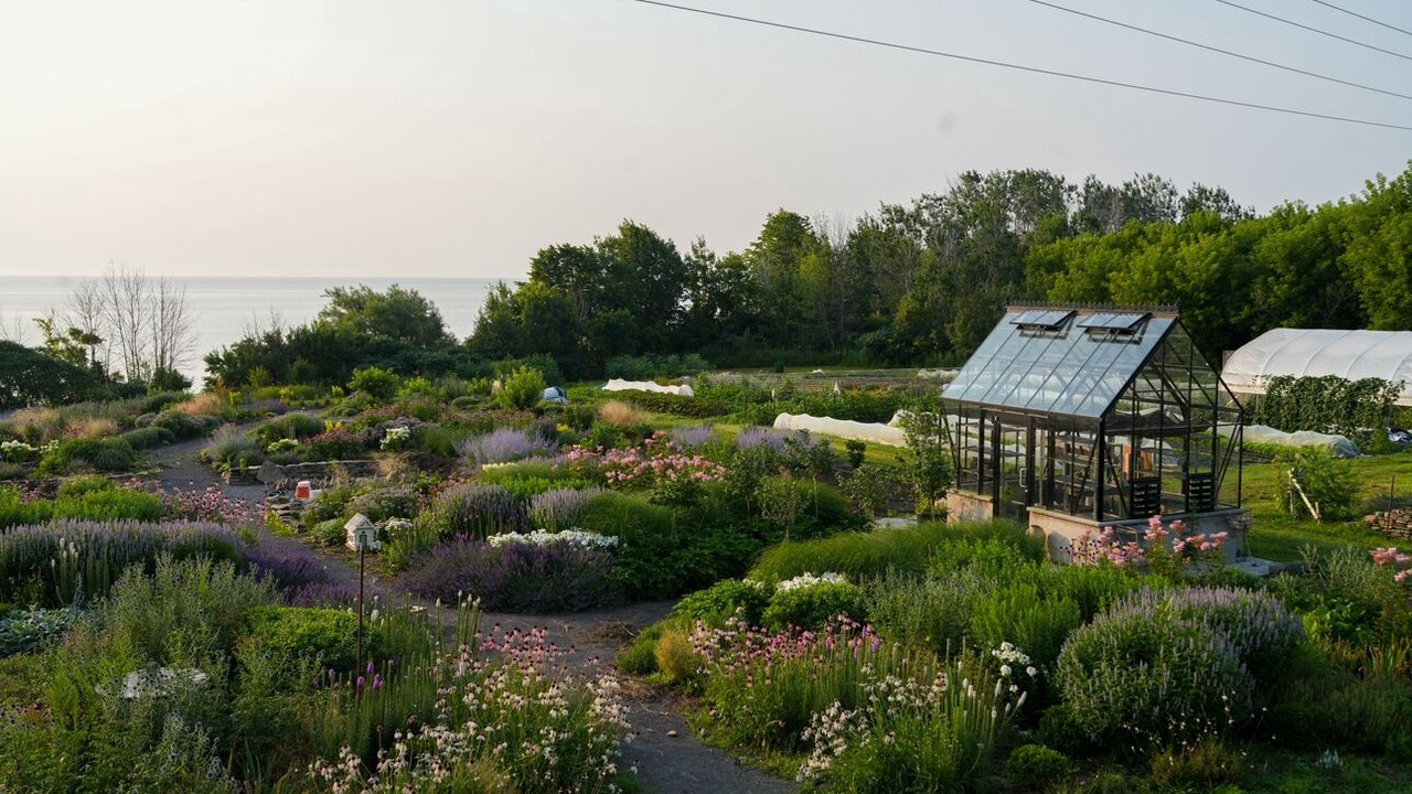 Photo of Outdoor in Waupoos
