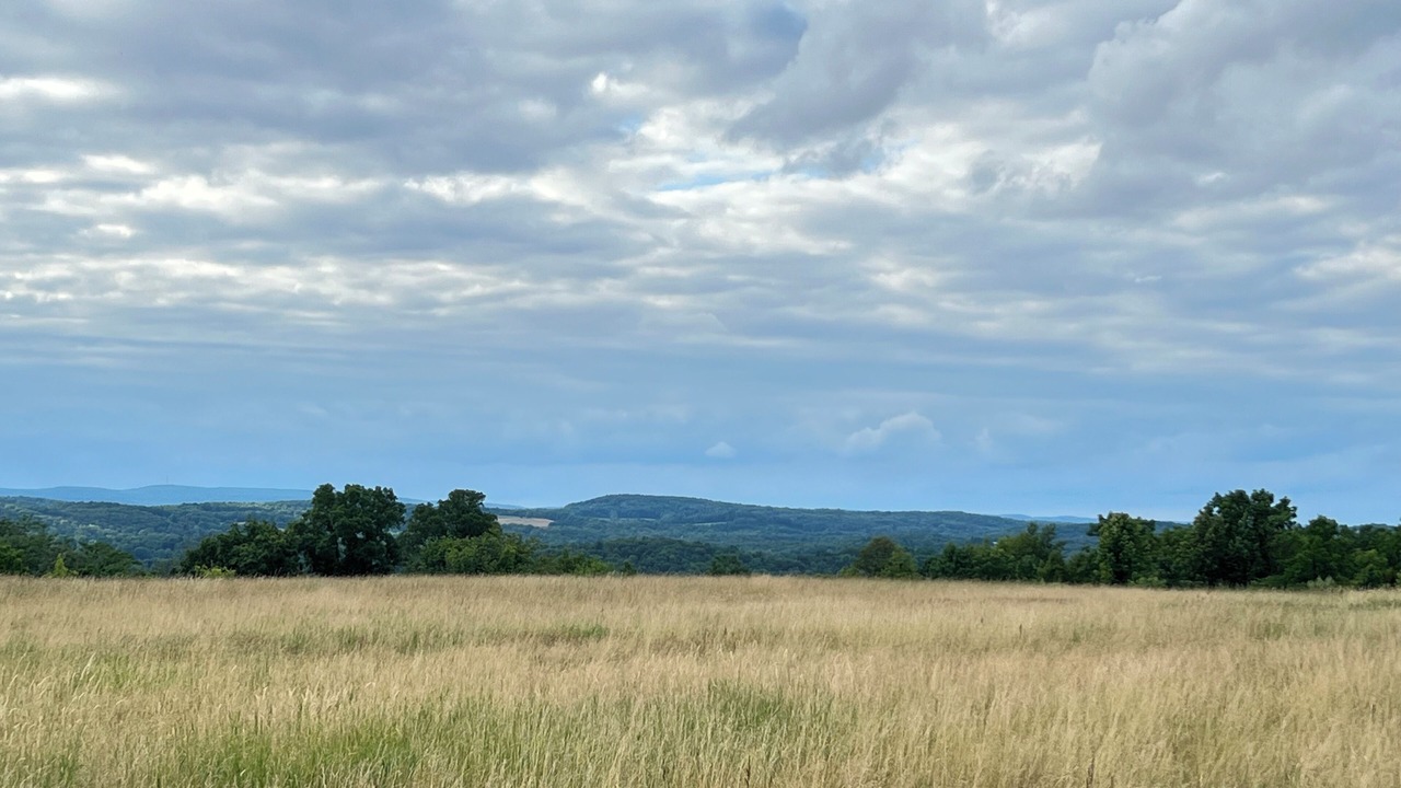 Photo of Others in Wantage