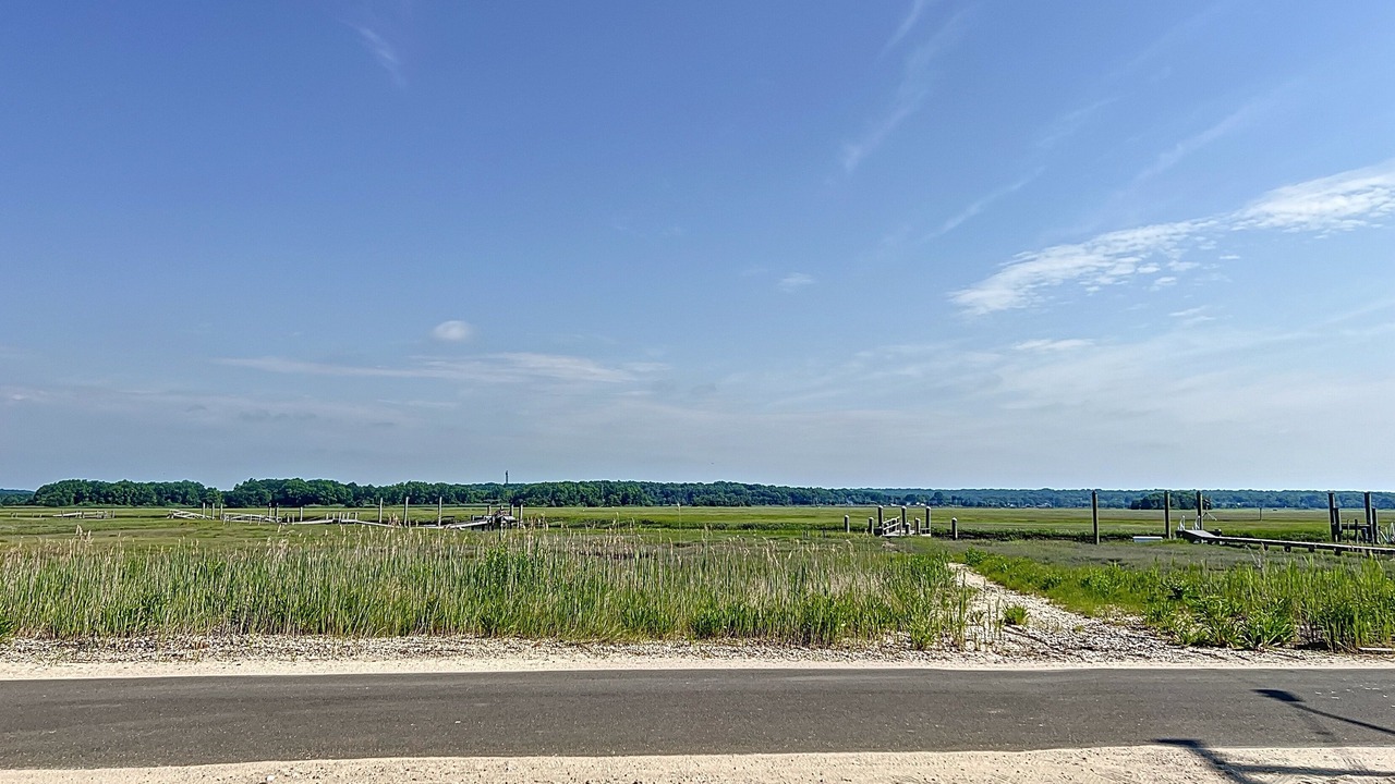 Photo of Others in Madison