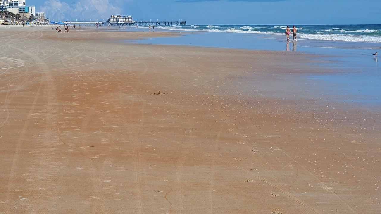 Photo of Others in Silver Terrace