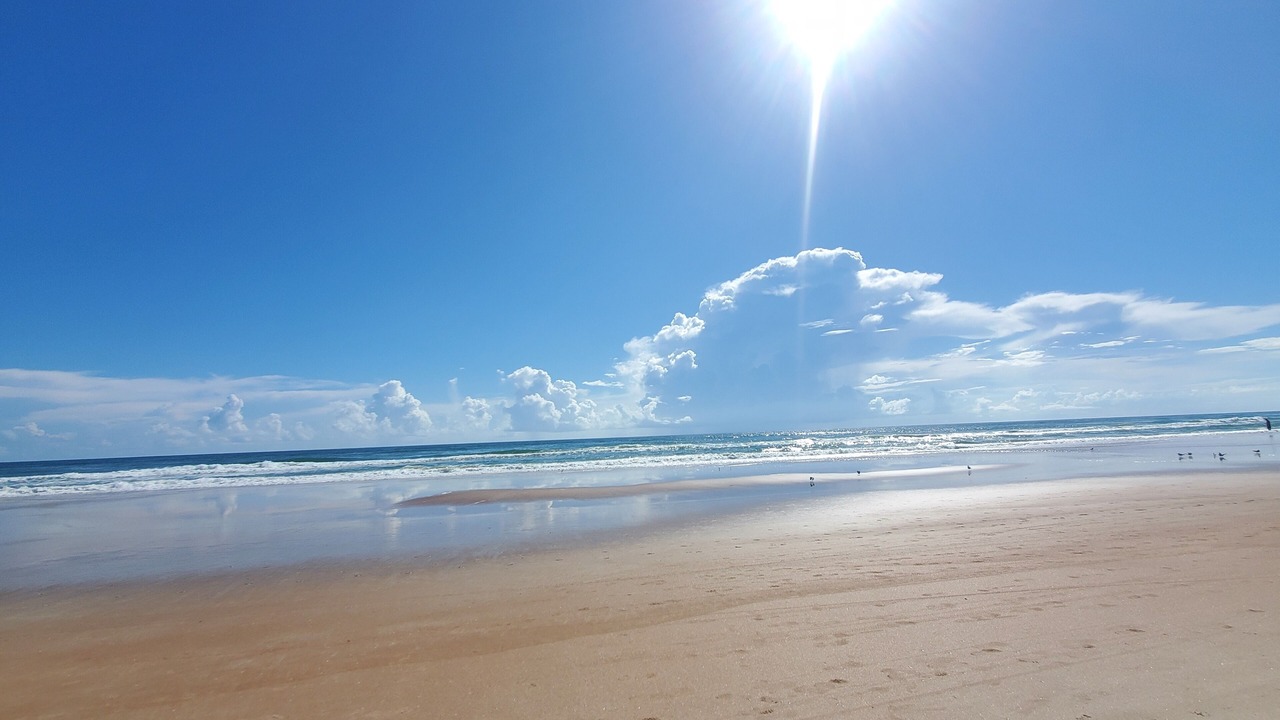 Photo of Others in Silver Terrace