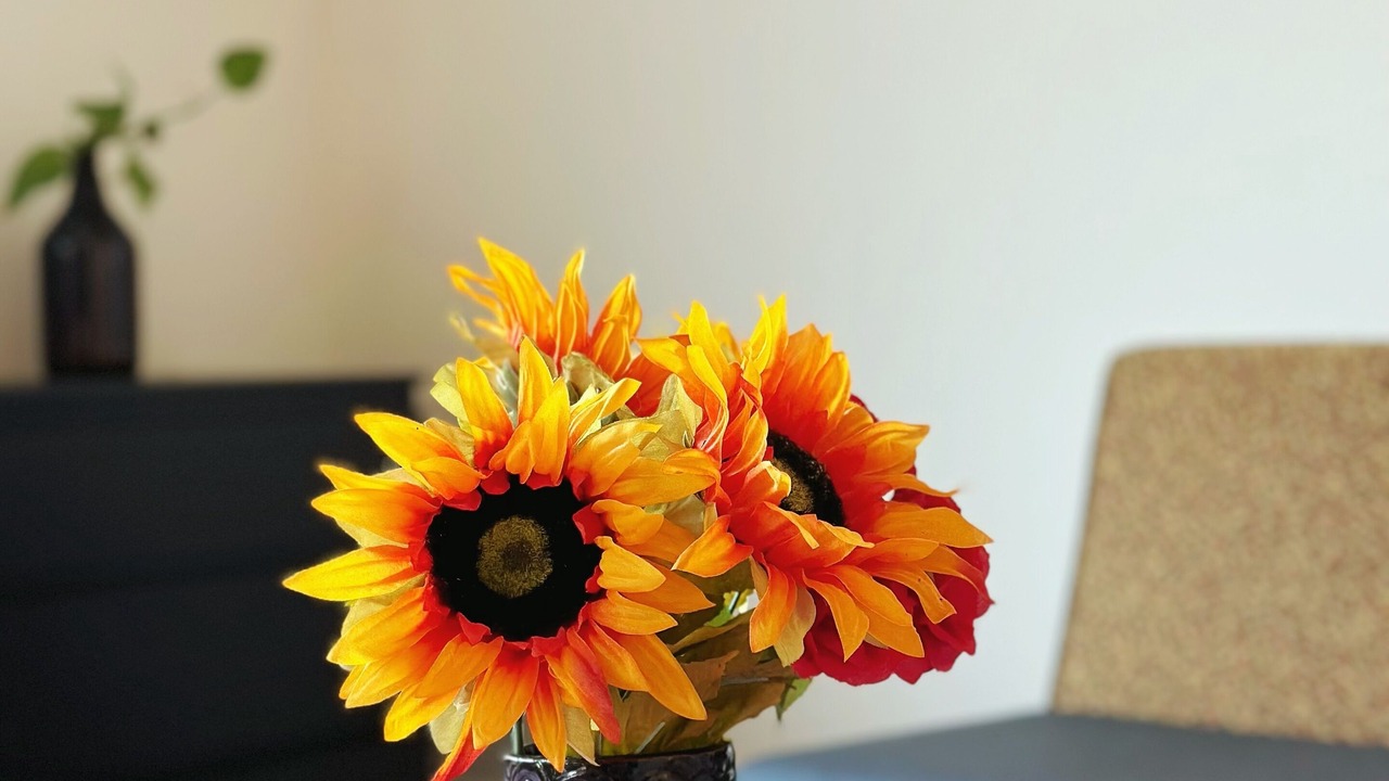 Photo of Others in Elk Grove