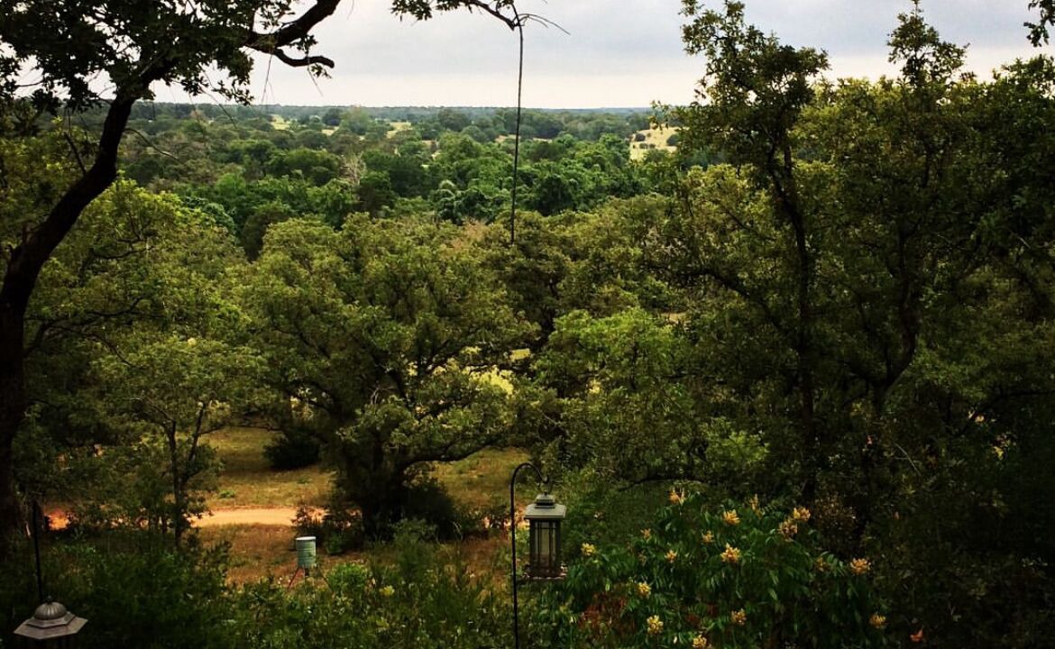 Photo of Outdoor in Bastrop County