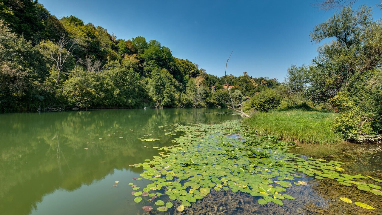 Photo of Others in Karlovac