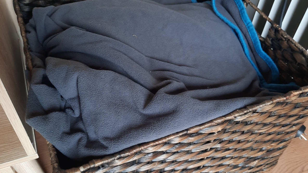 Photo of Others in Rototai