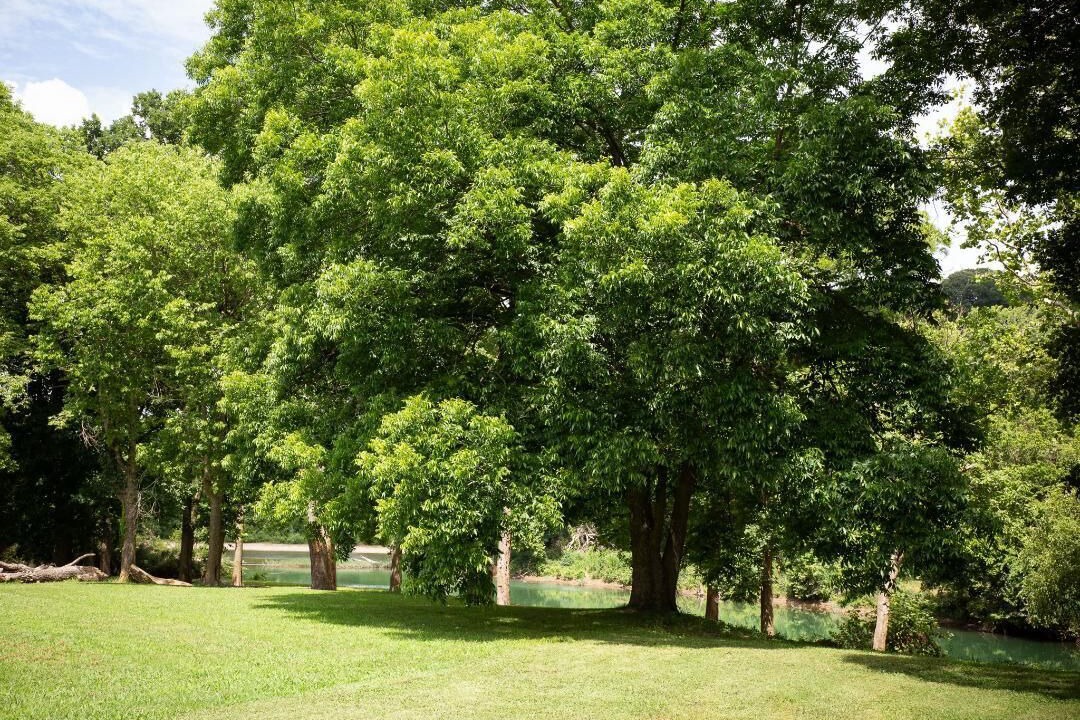 Photo of Outdoor in Noel