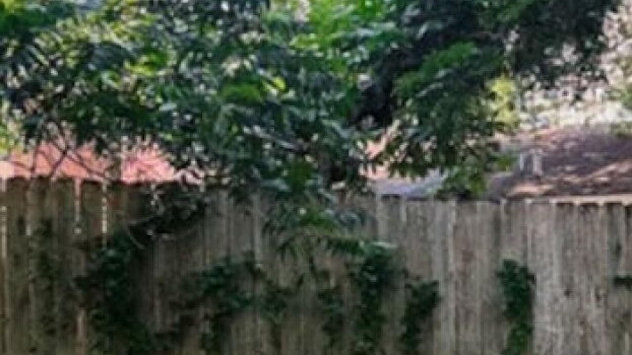 Photo of Outdoor in Greater South River City