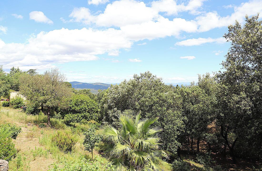 Photo of Others in Ceret