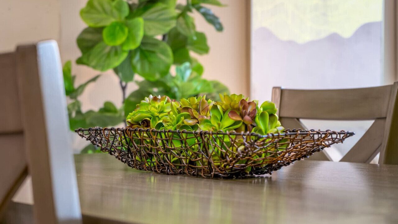 Photo of Others in South Eola