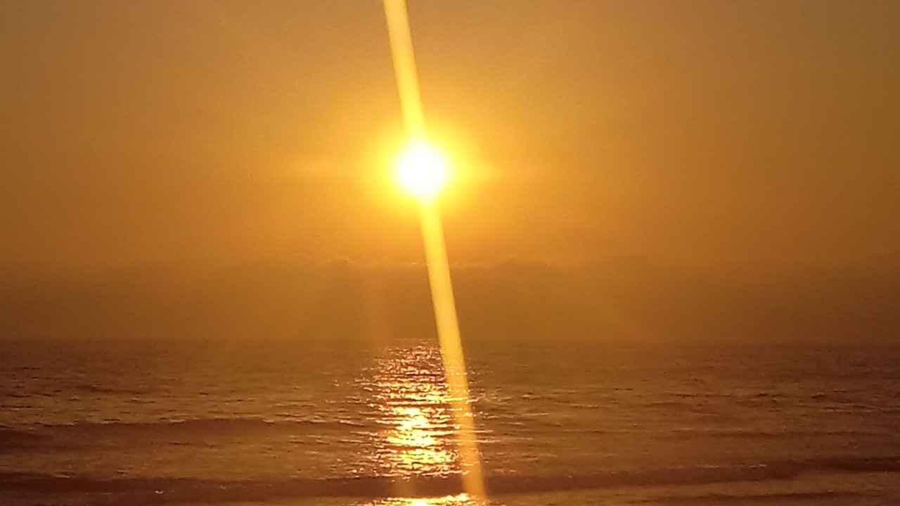 Photo of Others in Primo Tapia