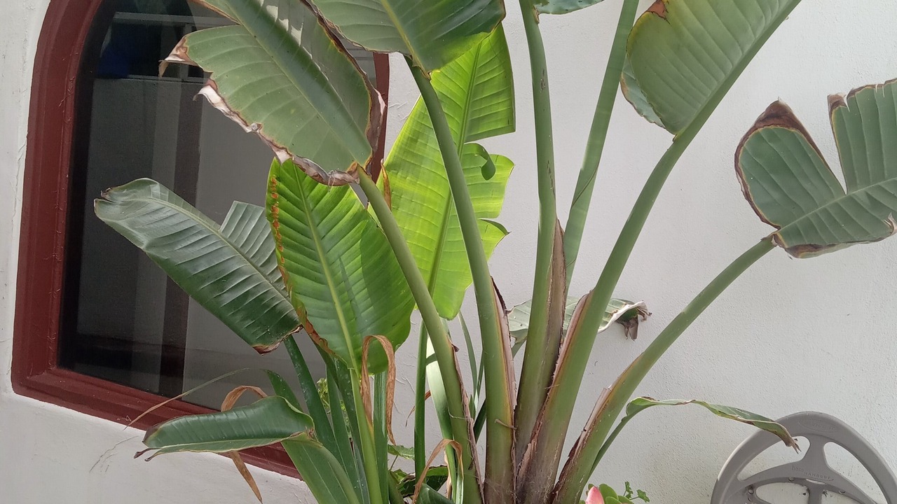 Photo of Outdoor in Primo Tapia