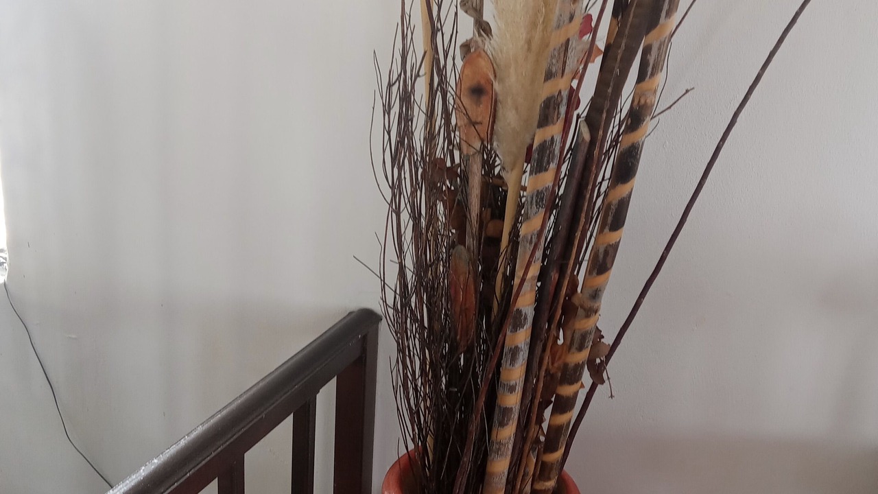 Photo of Others in Primo Tapia