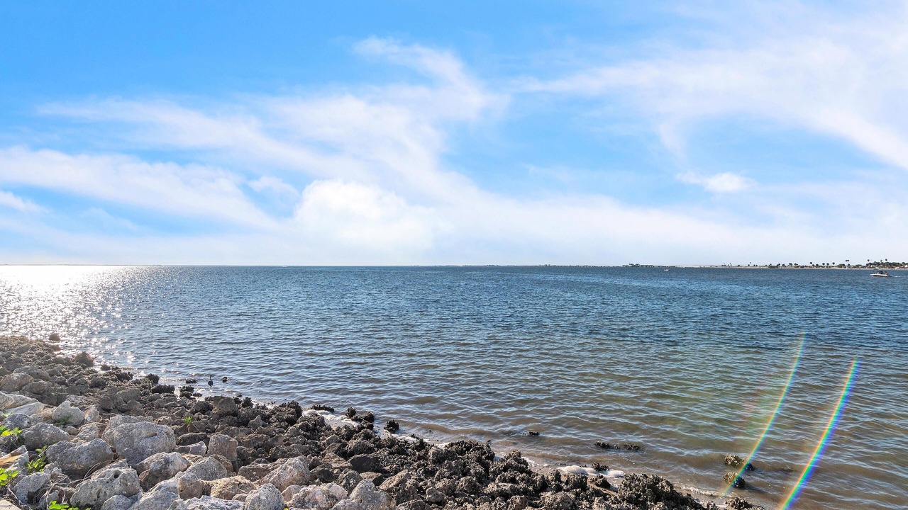 Photo of Others in Rocky Point