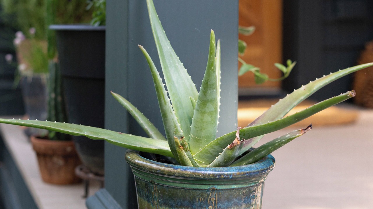 Photo of Outdoor in Lenox