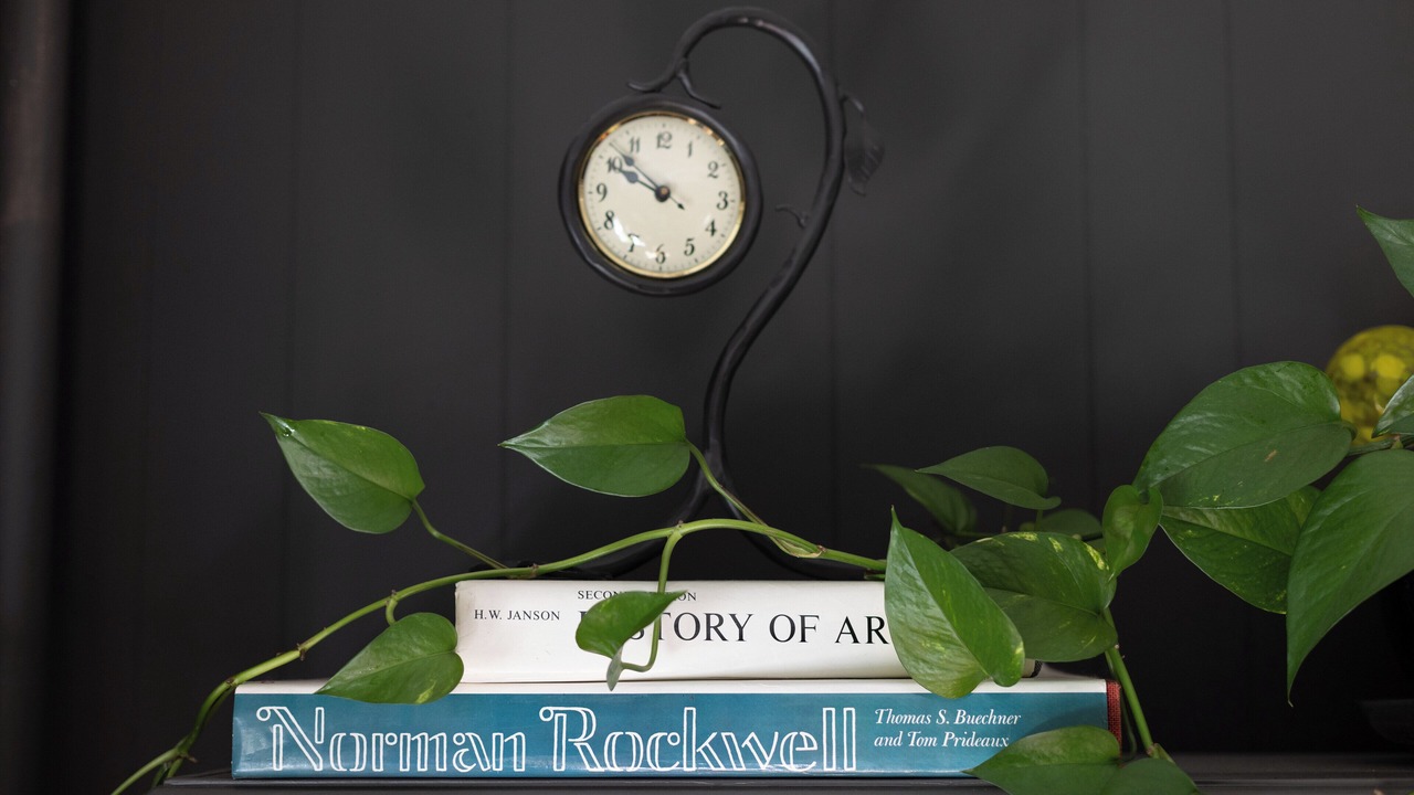 Photo of Others in Lenox