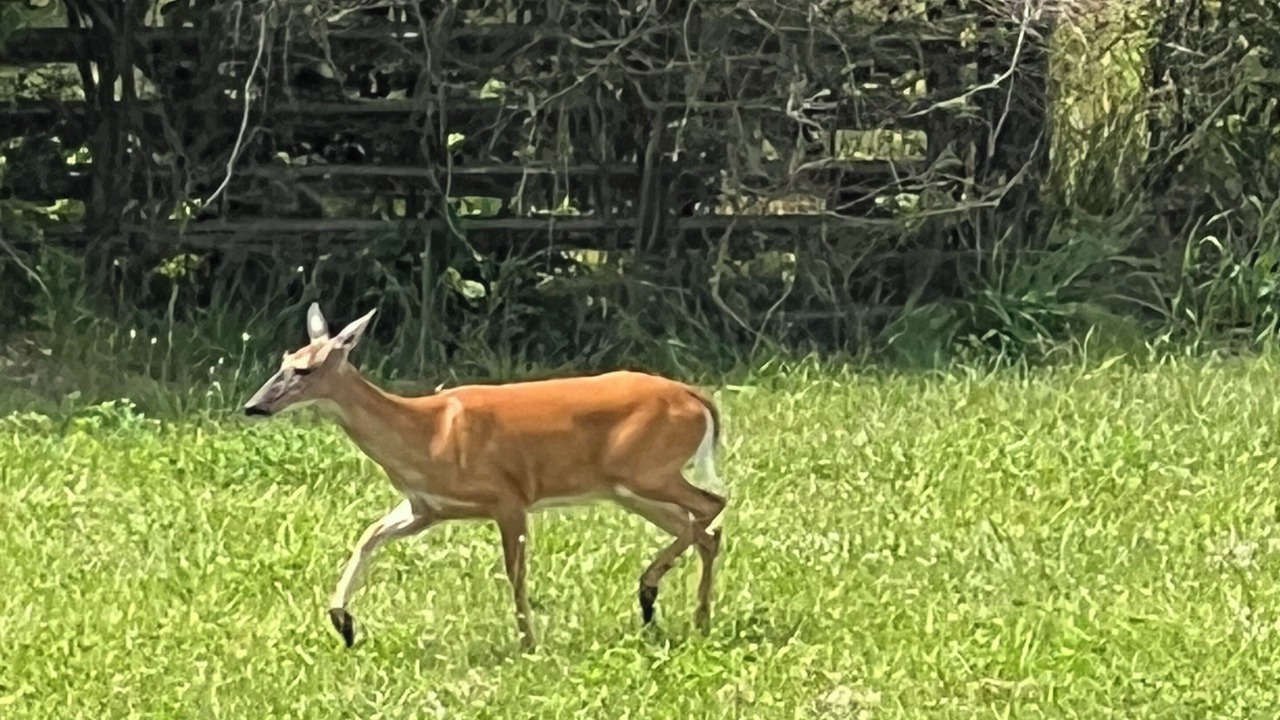 Photo of Others in Mitchell
