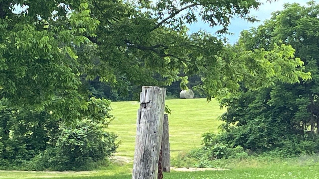 Photo of Outdoor in Bonne Terre