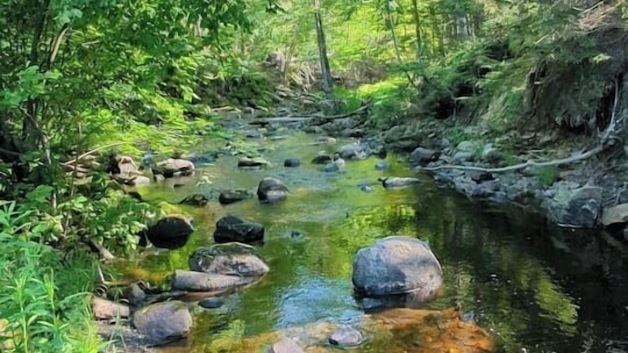 Photo of Outdoor in Saint David