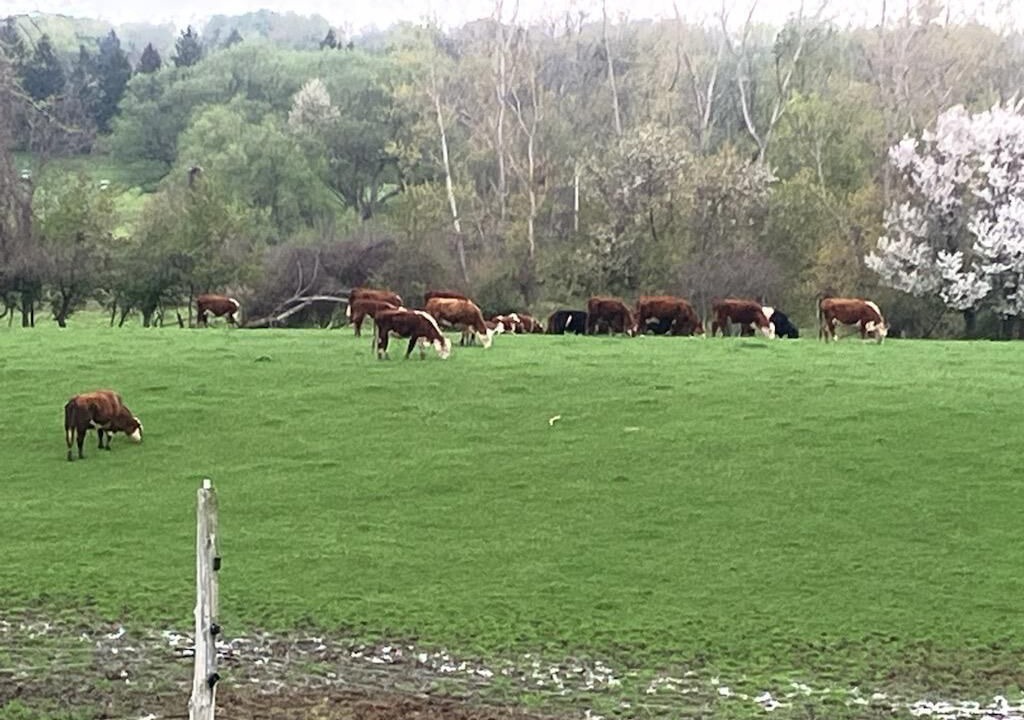 Photo of Others in Scottsville