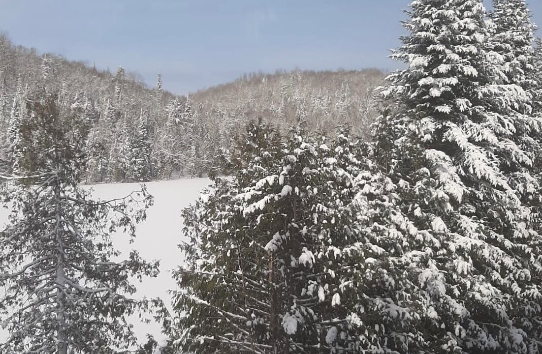 Photo of Others in Lac-des-Plages