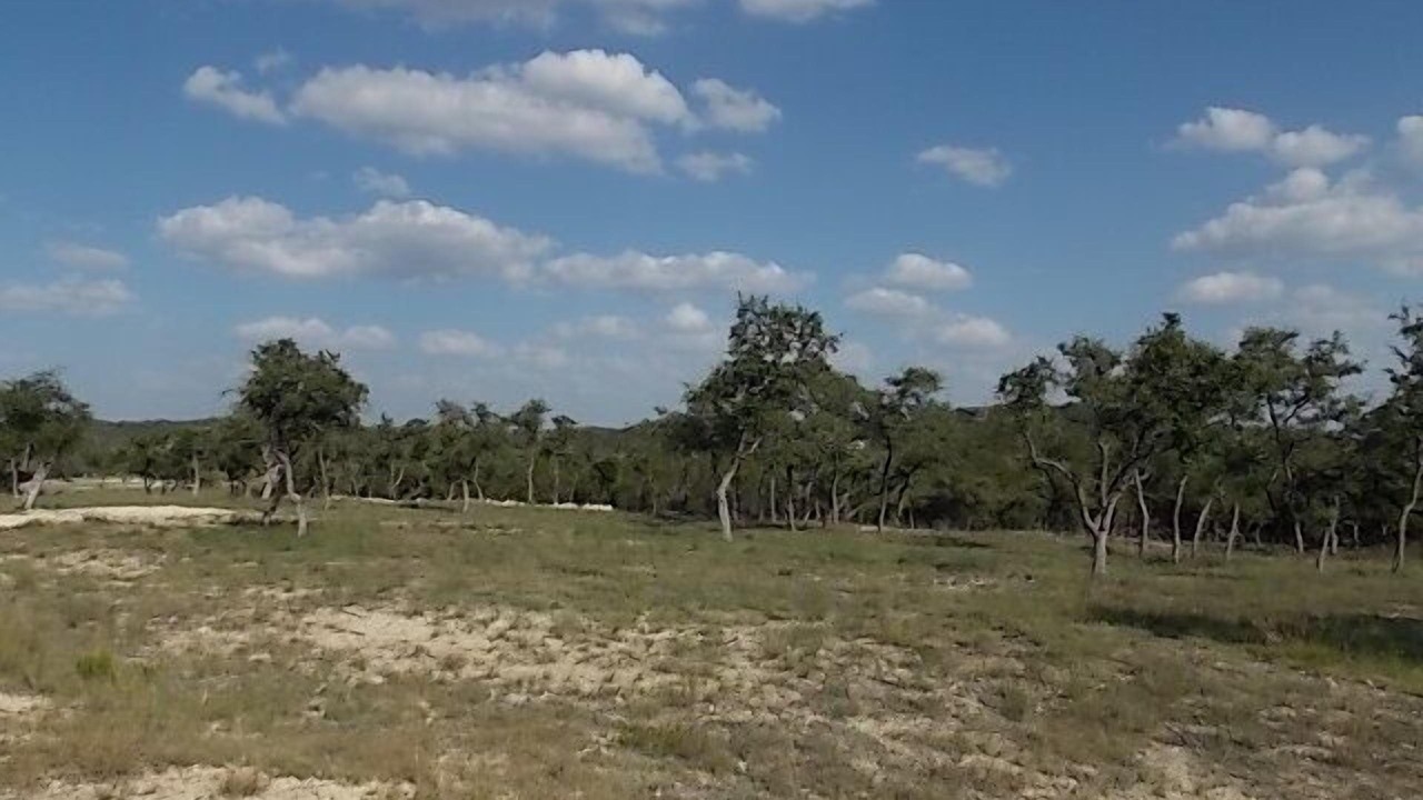 Photo of Others in Spring Branch