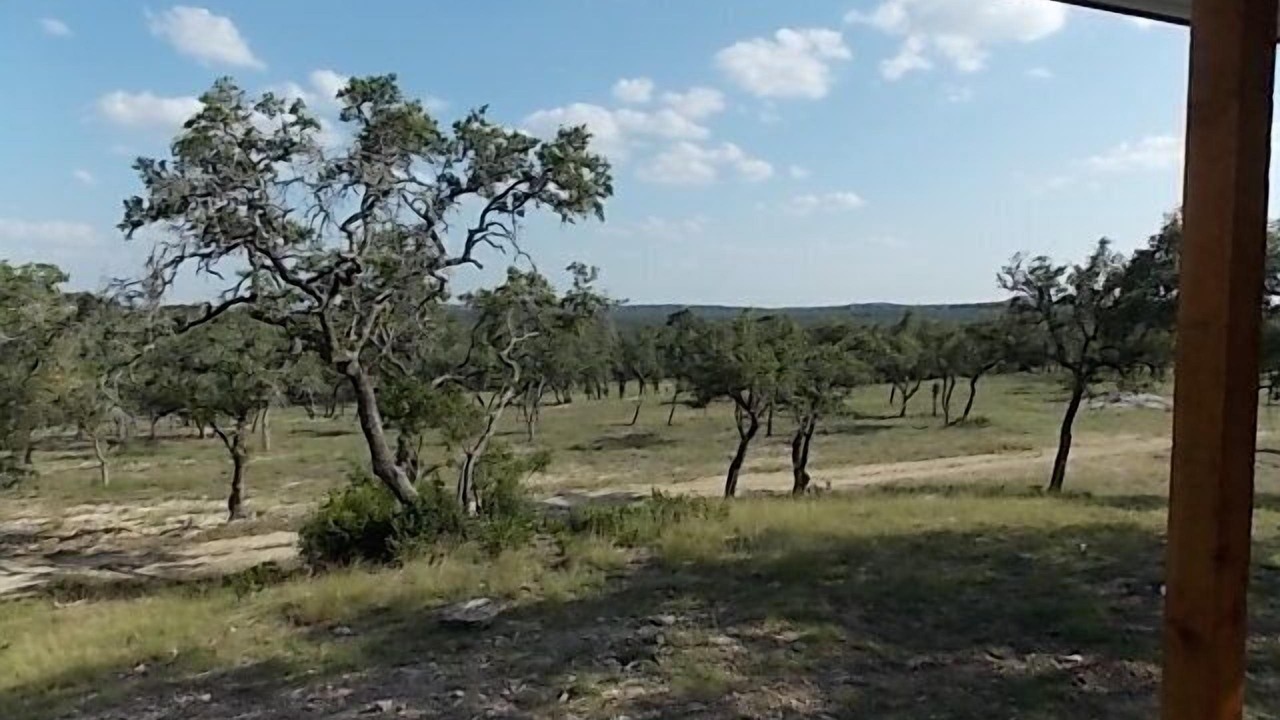 Photo of Others in Spring Branch