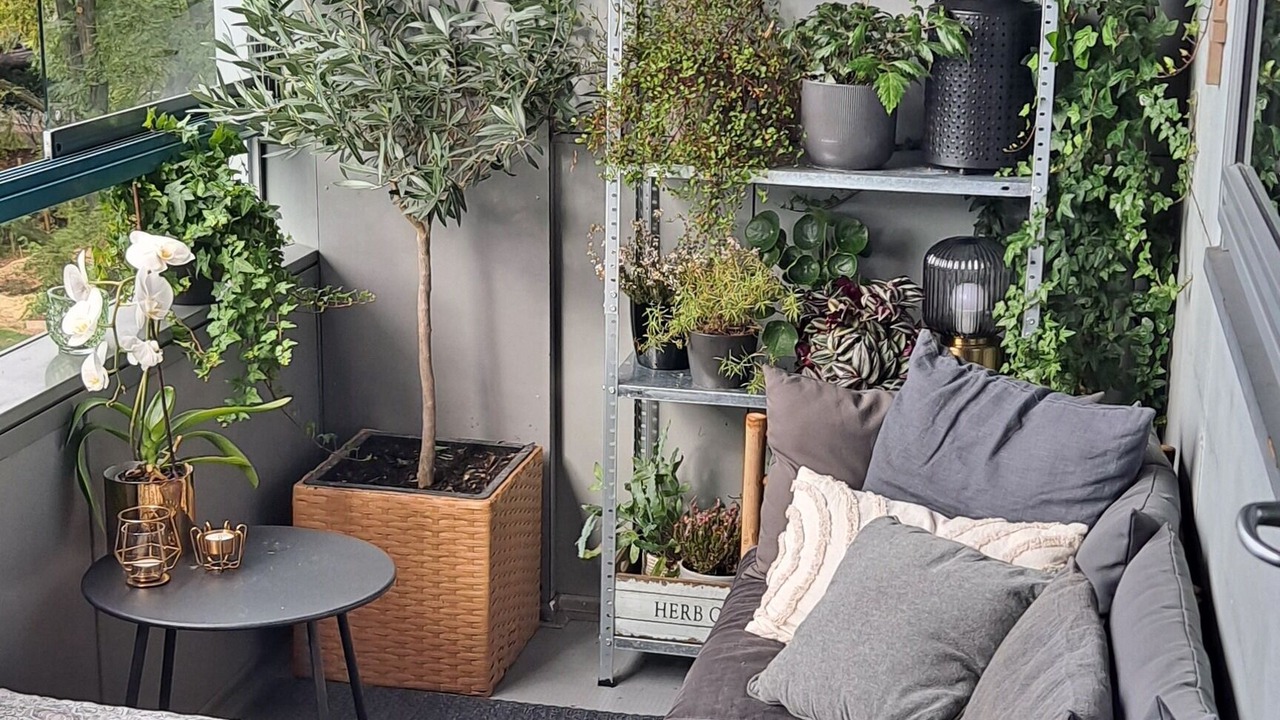 Photo of Livingroom in Frederiksberg