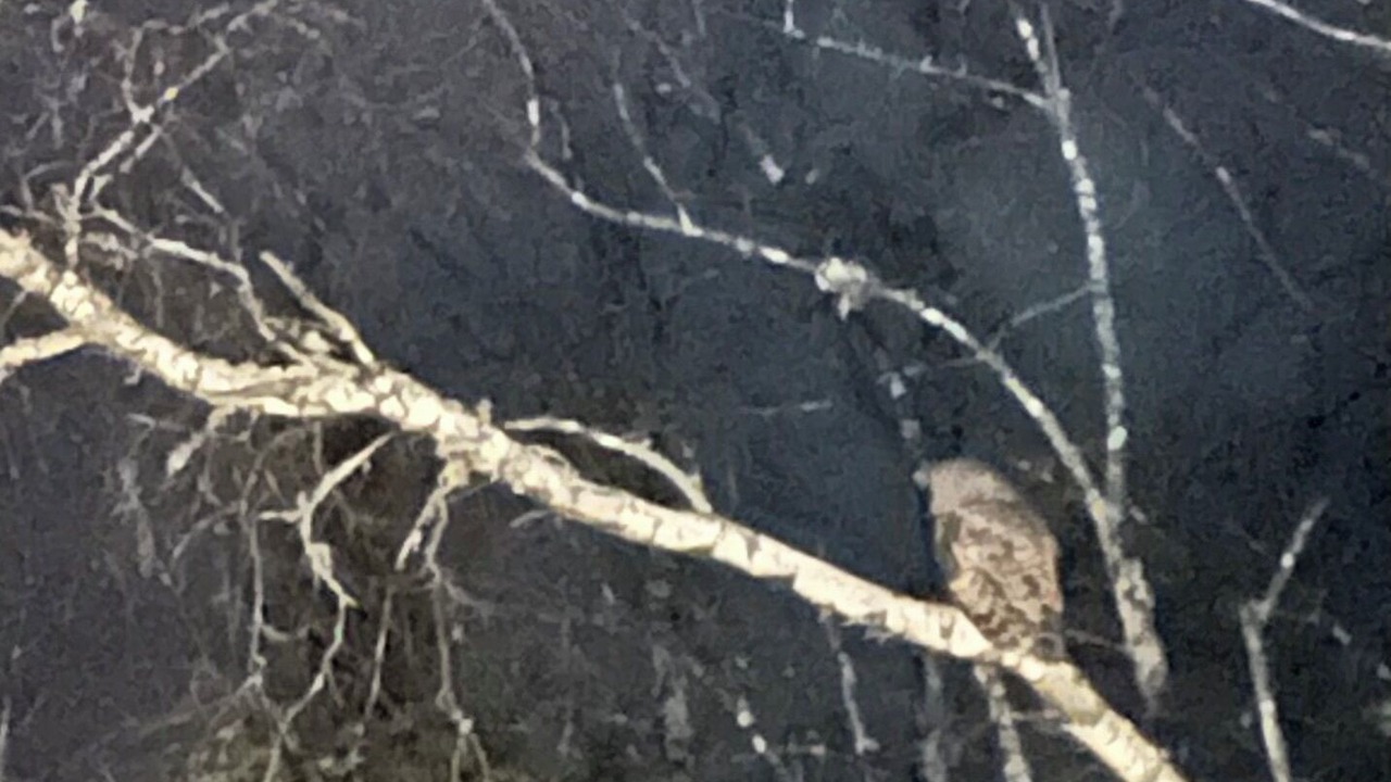 Photo of Others in Milbridge