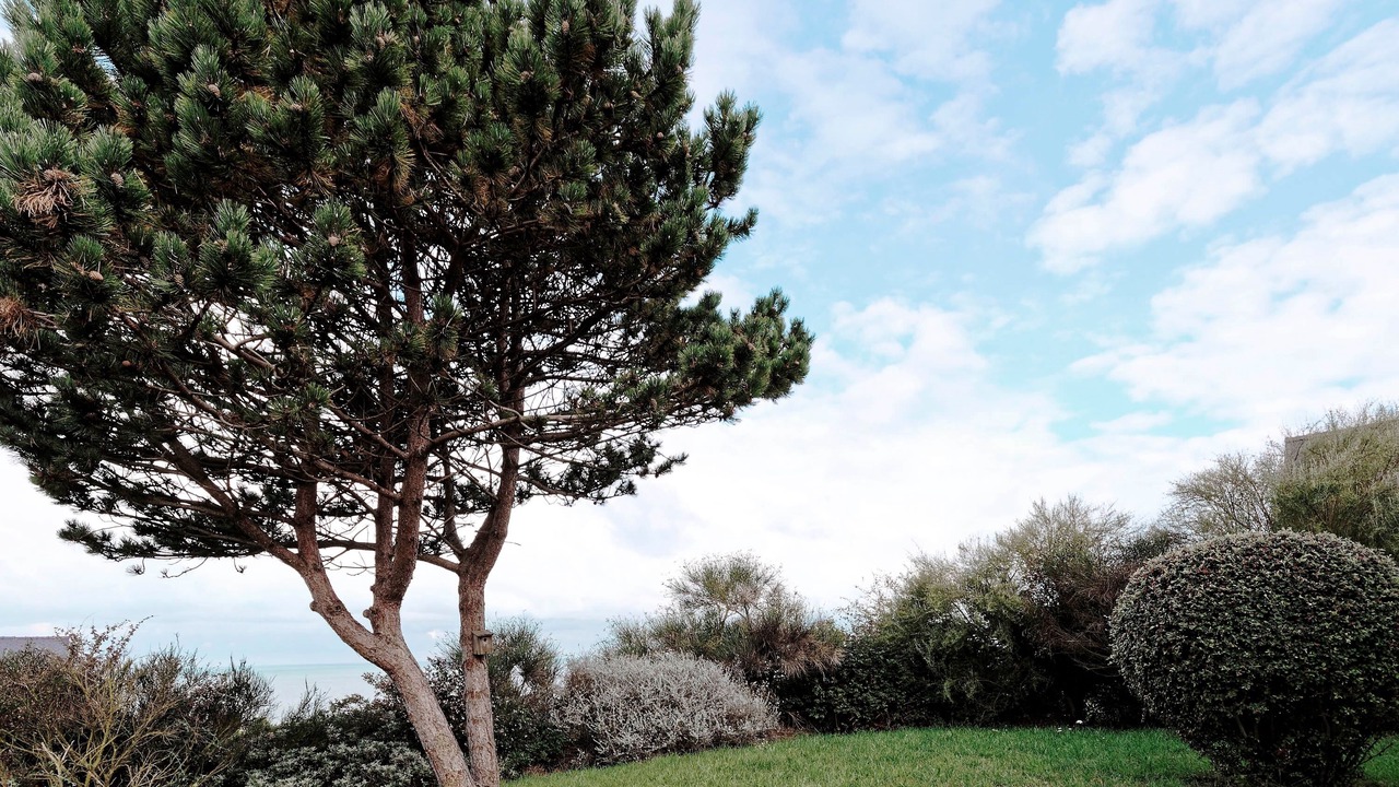 Photo of Outdoor in Pleherel-Plage-Vieux-Bourg