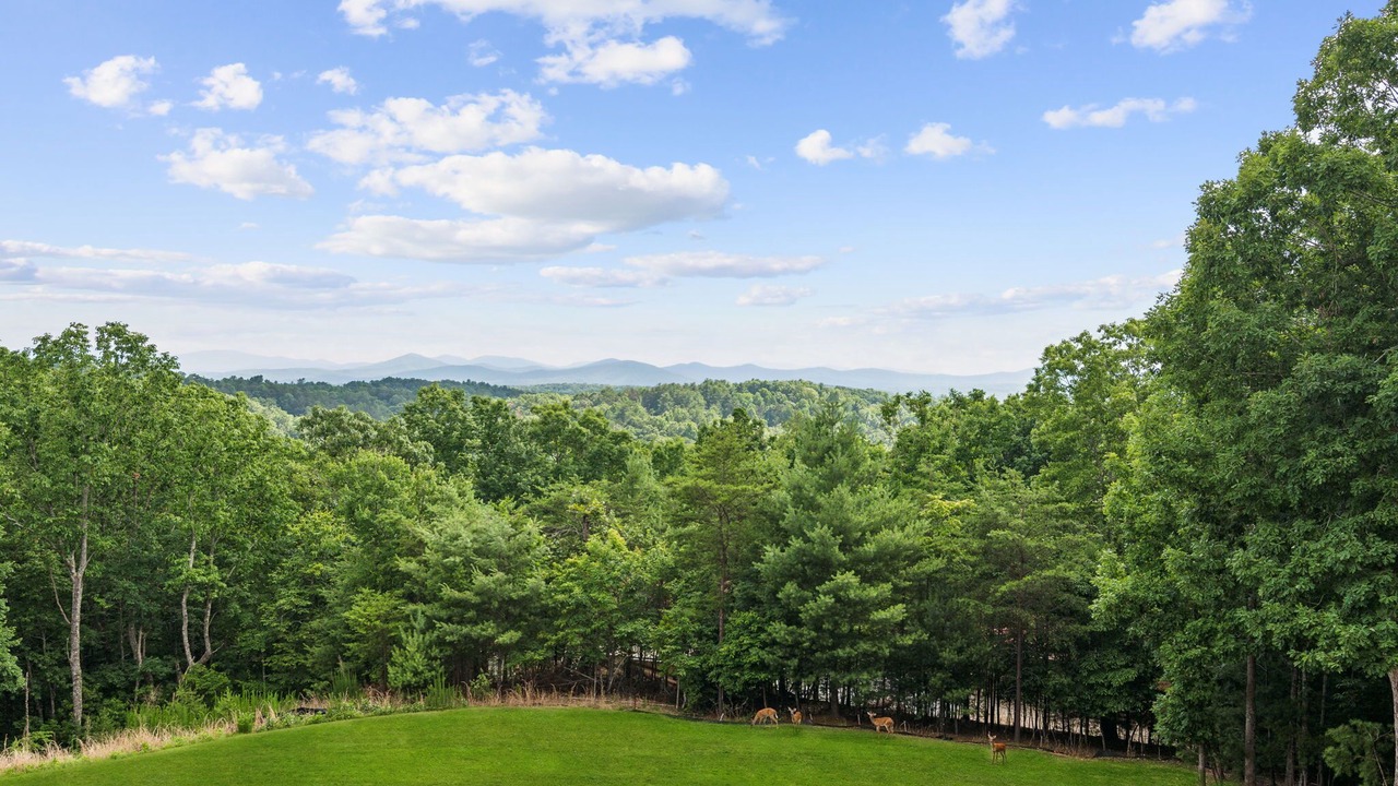 Photo of Outdoor in Blairsville