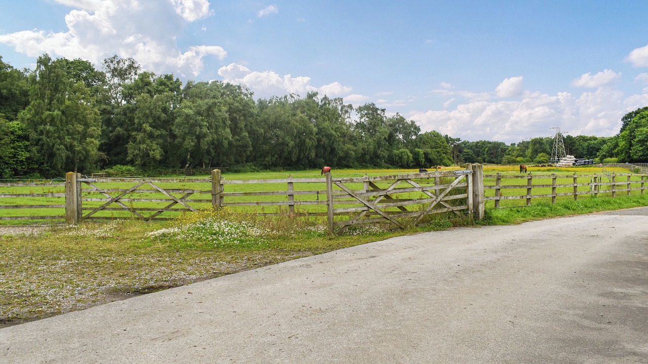 Photo of Outdoor in Huby