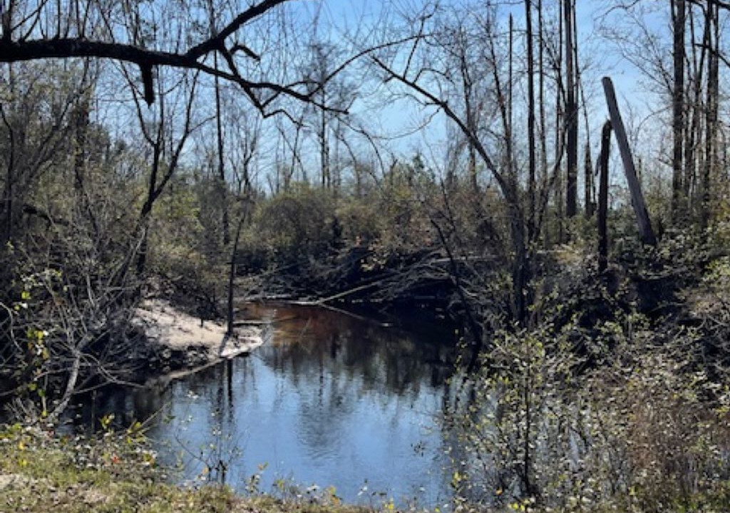 Photo of Others in Clarksville