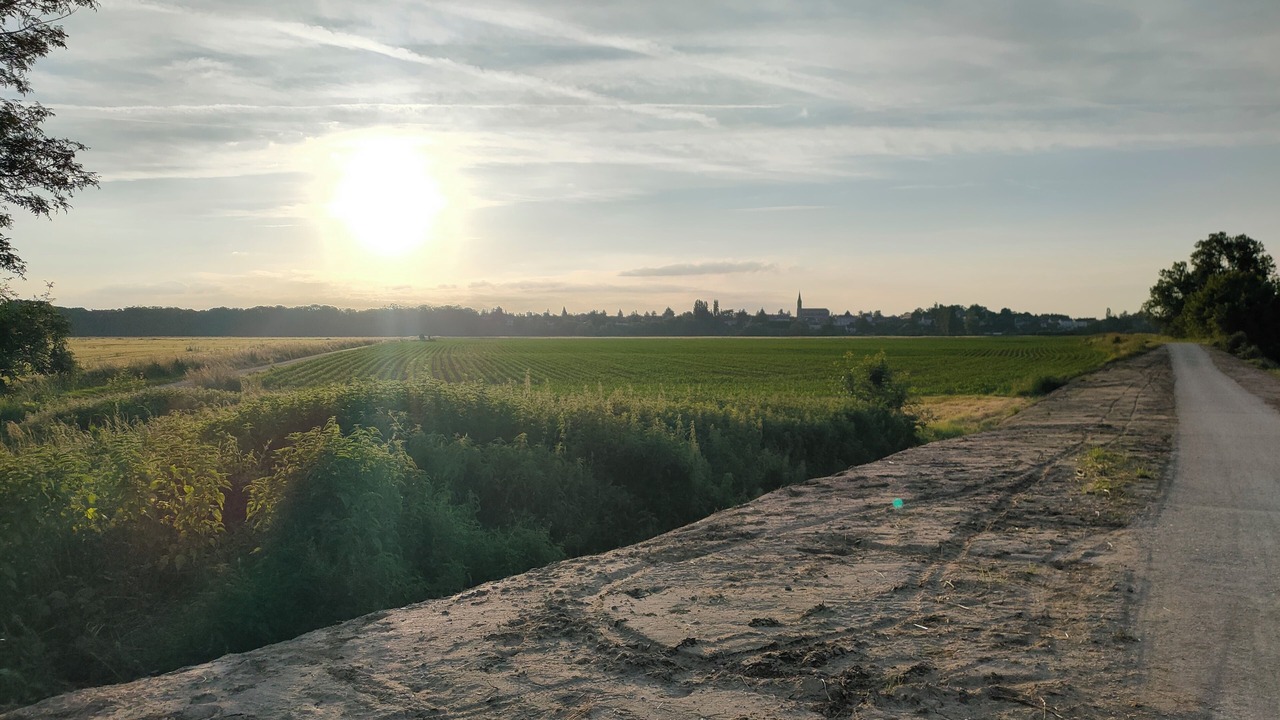 Photo of Others in Baule