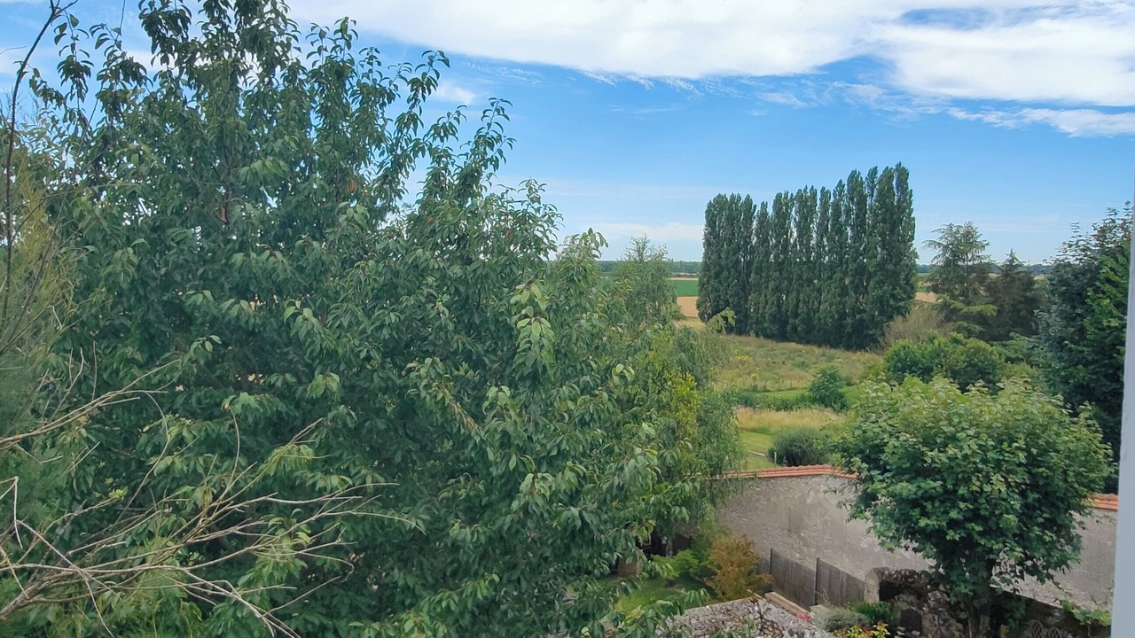 Photo of Outdoor in Baule