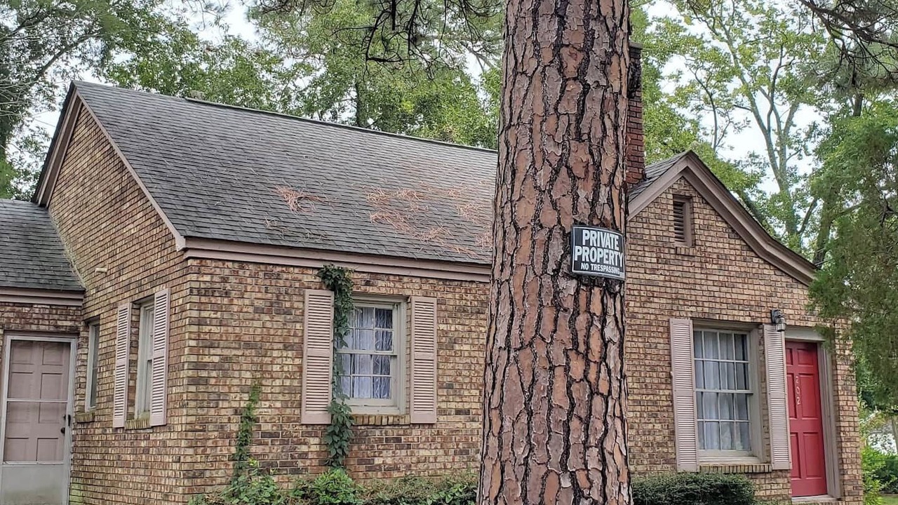 Photo of Others in Douglas